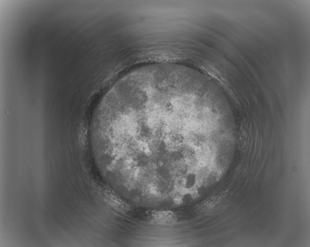 X0000071960355200608041625