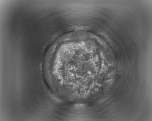 X0000071960357200608041625