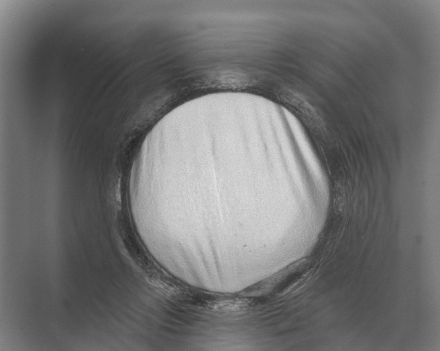 X0000071960358200608041625