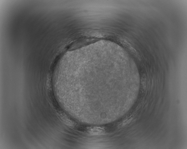 X0000071960359200608041625