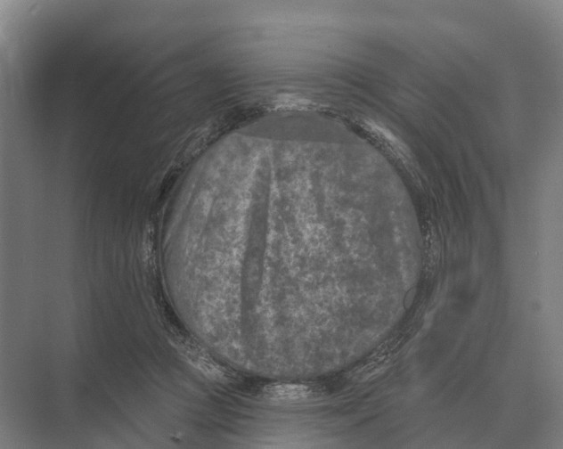 X0000071960361200608041625