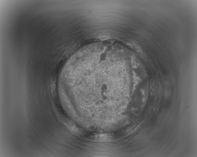 X0000071960365200608041625