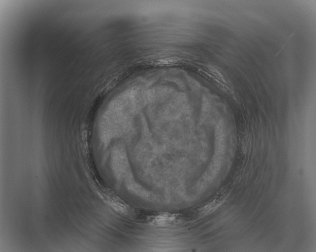 X0000071960366200608041625