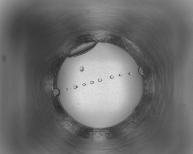 X0000071960368200608041625