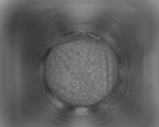 X0000071960369200608041625