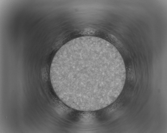 X0000071960370200608041625