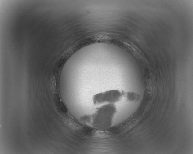 X0000071960372200608041625