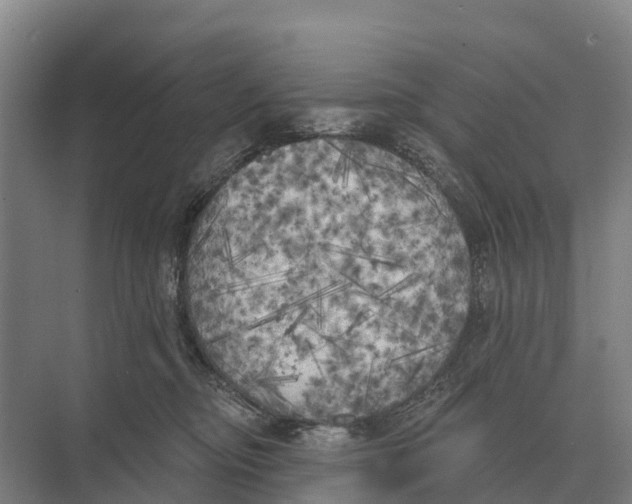 X0000071960374200608041625