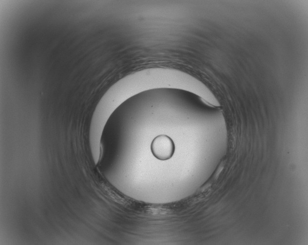 X0000071960376200608041625