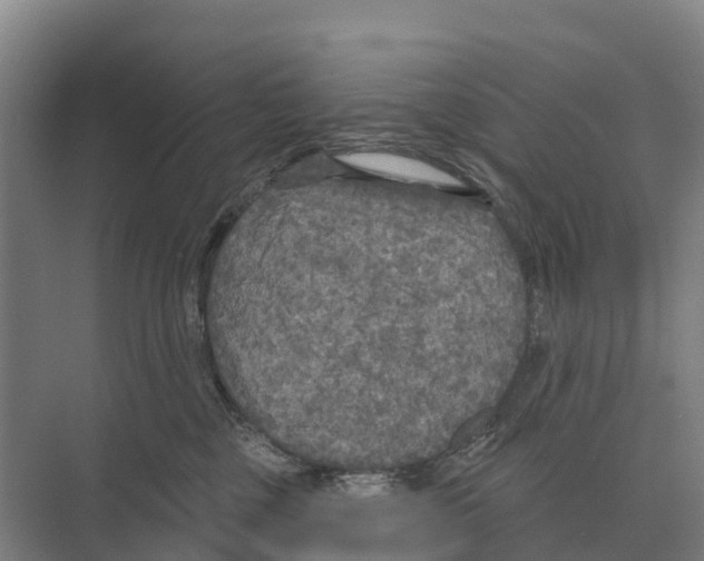 X0000071960377200608041625