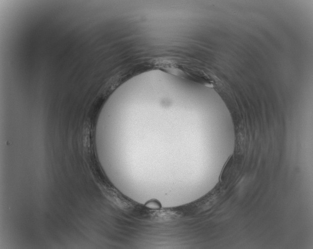 X0000071960379200608041625