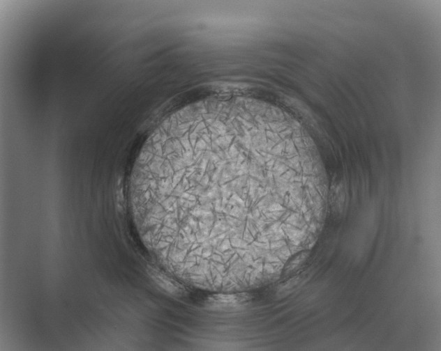 X0000071960381200608041625