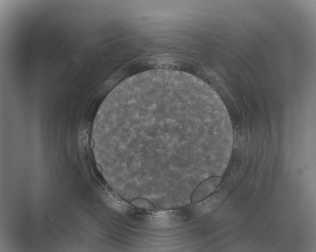 X0000071960382200608041625