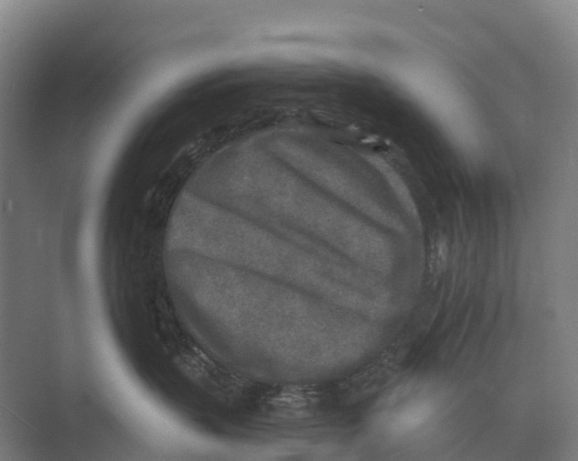 X0000071960383200608041625