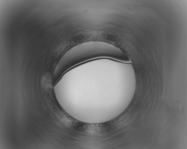 X0000071960384200608041625