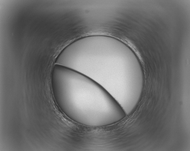 X0000071960385200608041625