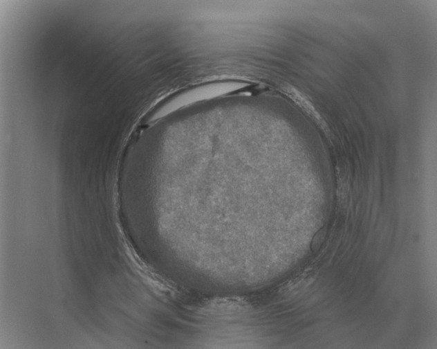 X0000071960386200608041625