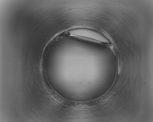 X0000071960387200608041625