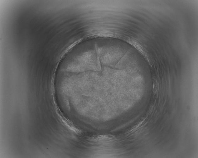 X0000071960390200608041625