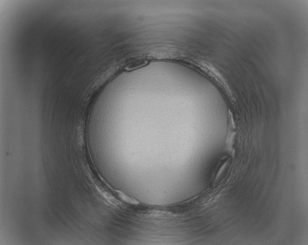 X0000071960393200608041625