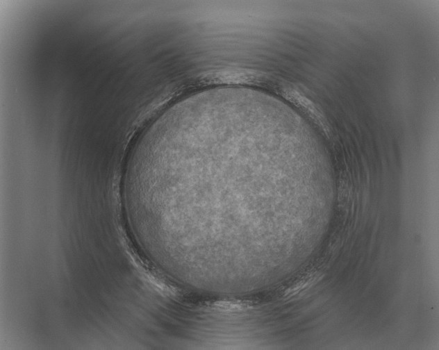 X0000071960394200608041625