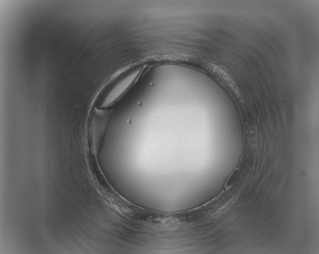 X0000071960395200608041625