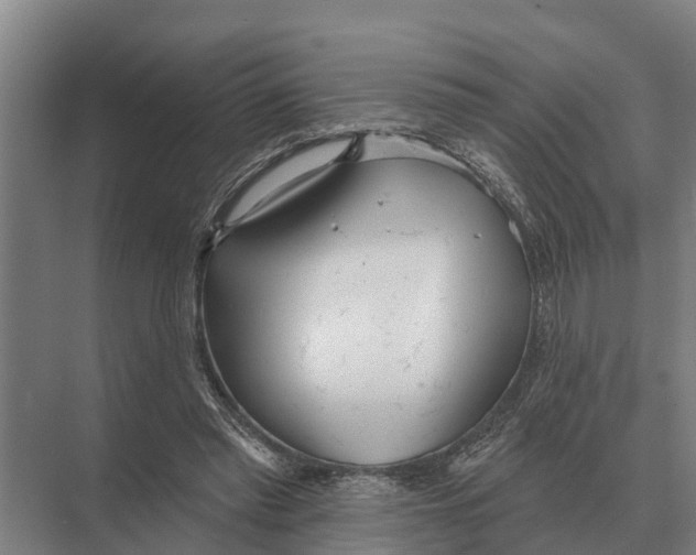 X0000071960397200608041624