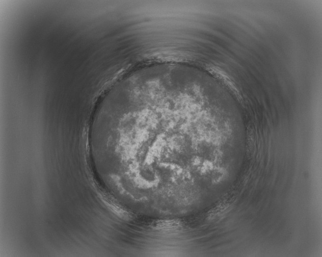 X0000071960398200608041624