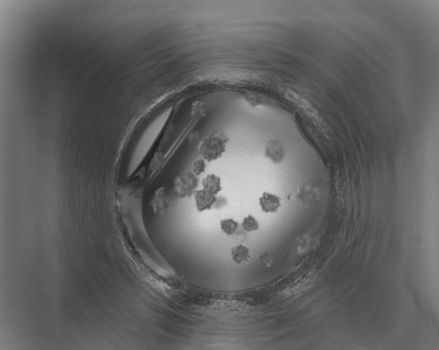 X0000071960399200608041624