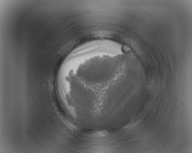 X0000071960402200608041624