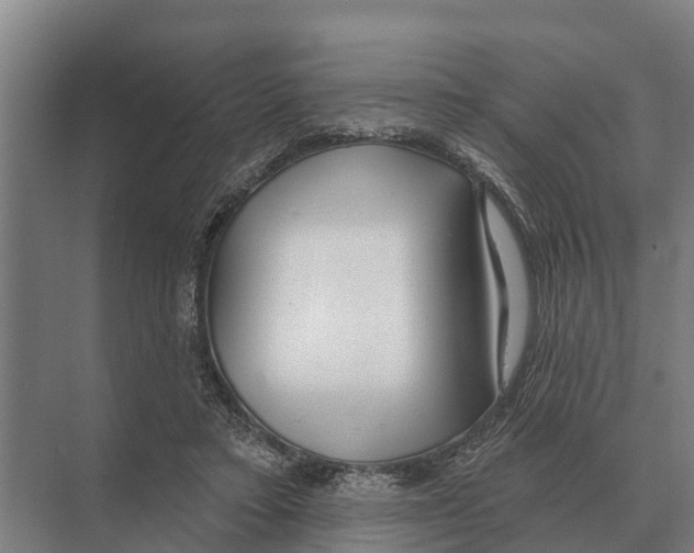 X0000071960403200608041624