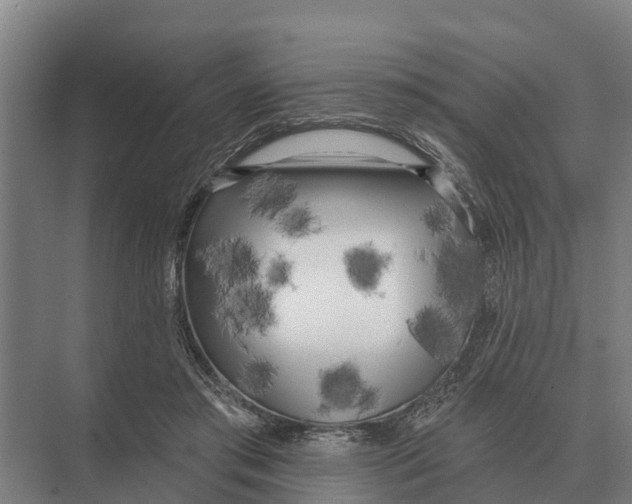 X0000071960405200608041624