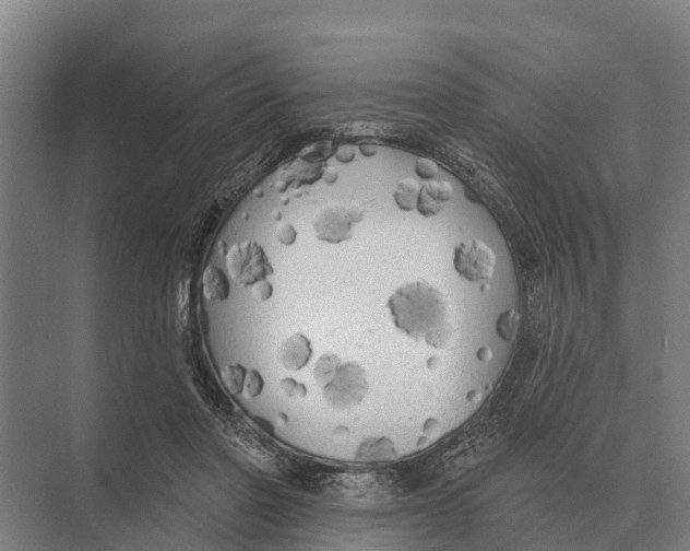 X0000071960406200608041624