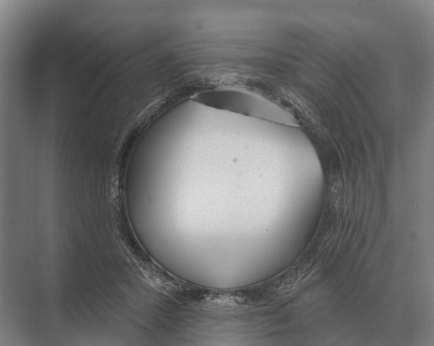 X0000071960407200608041624