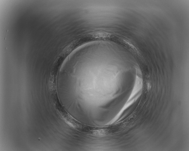 X0000071960411200608041624