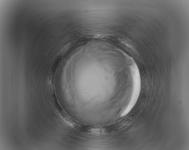 X0000071960415200608041624