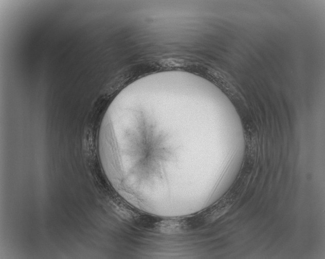 X0000071960418200608041624