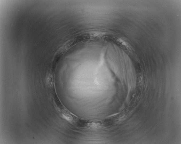 X0000071960419200608041624