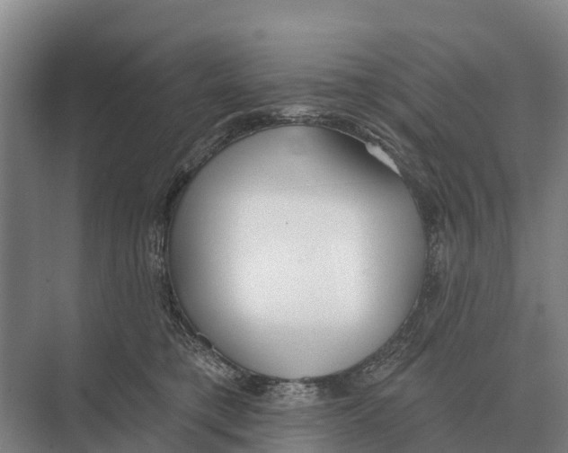 X0000071960421200608041624