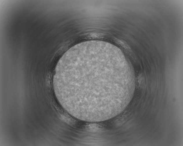 X0000071960423200608041624