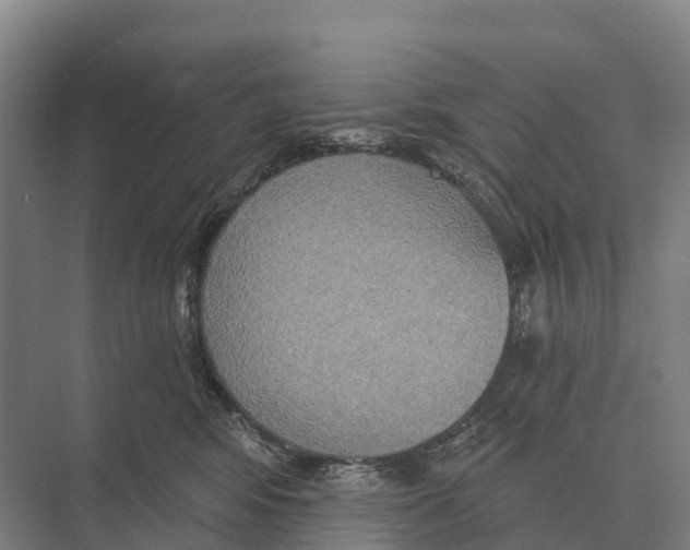 X0000071960424200608041624