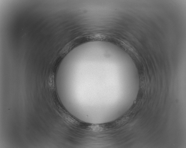 X0000071960425200608041624