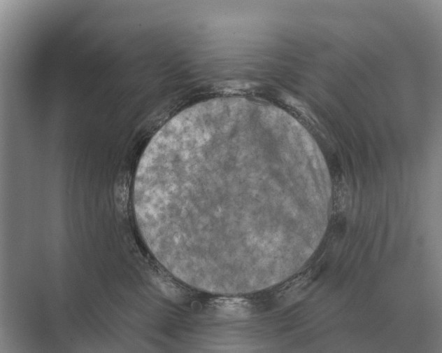 X0000071960427200608041624