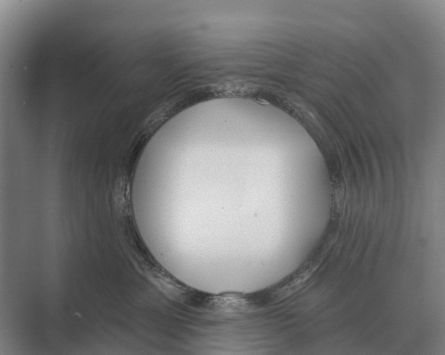 X0000071960429200608041624