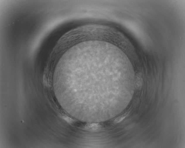 X0000071960431200608041624