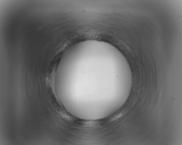 X0000071960432200608041624