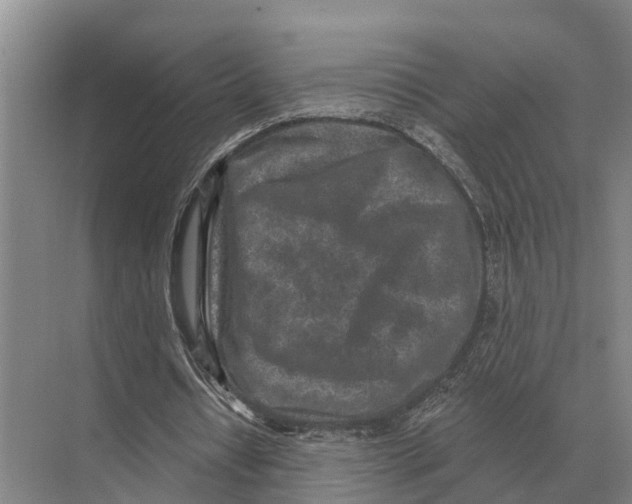 X0000071960434200608041623