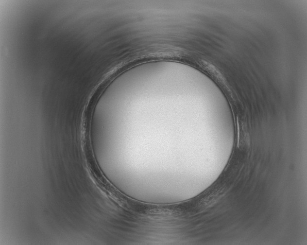 X0000071960435200608041623