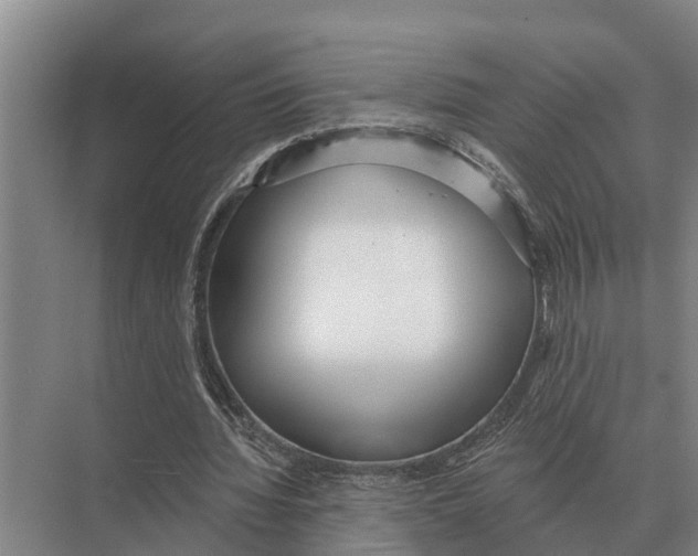 X0000071960436200608041623