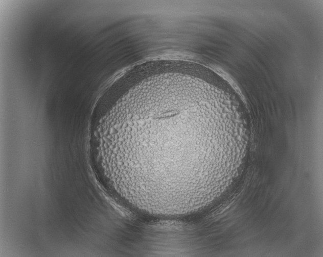 X0000071960437200608041623